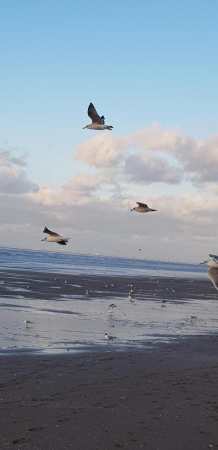 Bord De Plage, Thalasso Et Vue Mer ! Cabourg Bagian luar foto